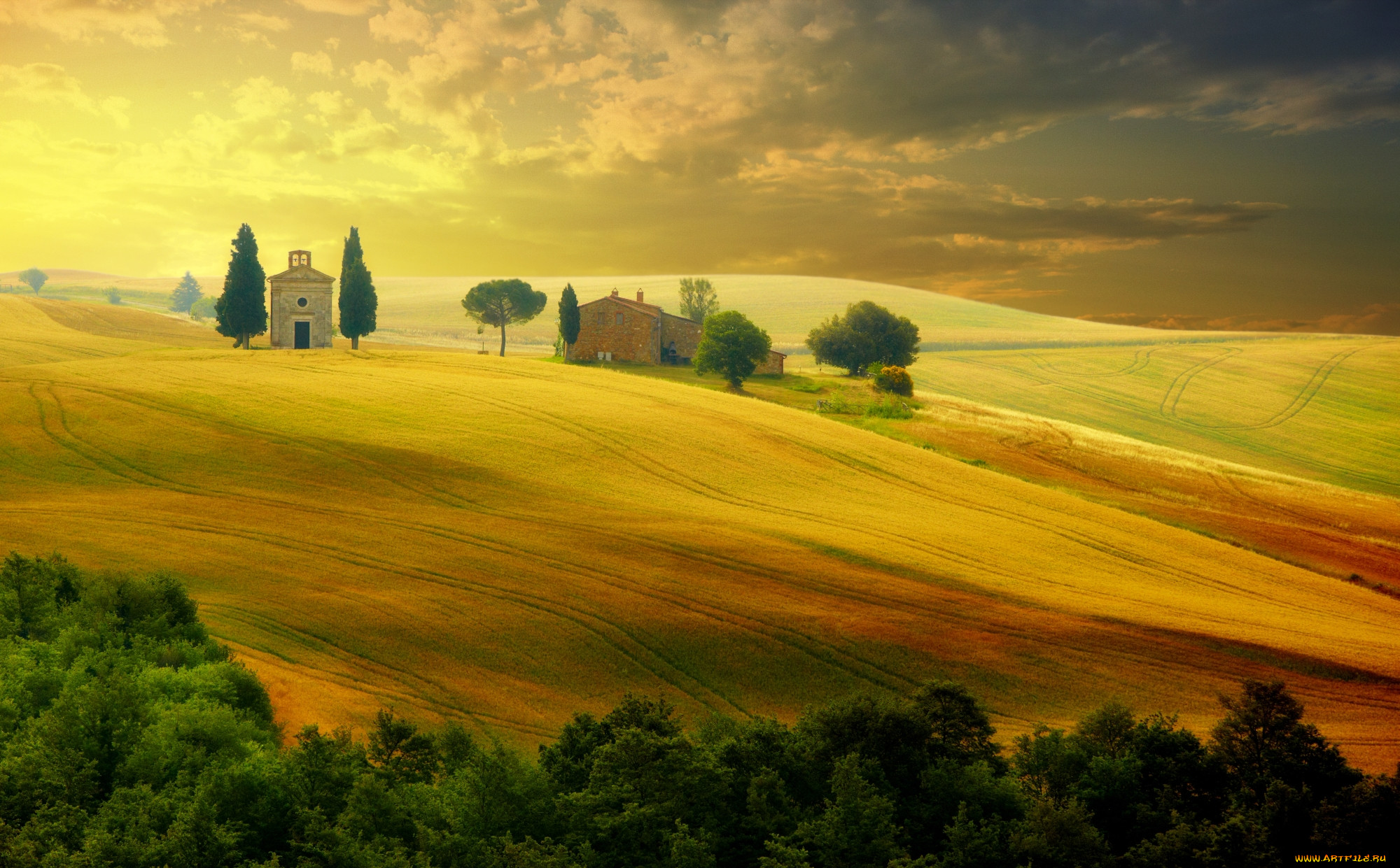 , , , , quirico'orcia, , , , , , , 